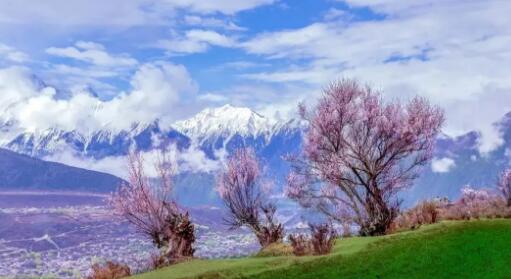 這些手機(jī)拍攝技巧不能忽視 出片率100%