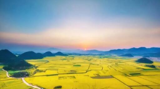 這些手機(jī)拍攝技巧不能忽視 出片率100%