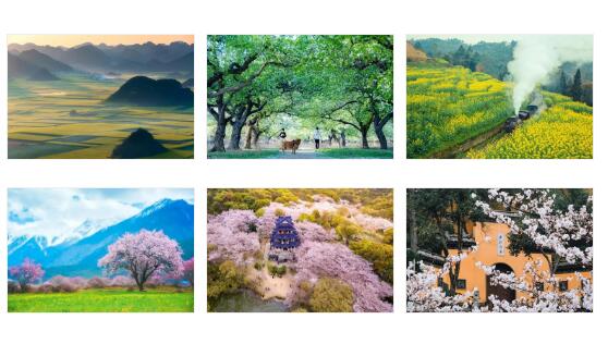 這些手機(jī)拍攝技巧不能忽視 出片率100%