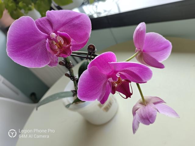 聯想拯救者電競手機Pro深度評測 硬核性能強者來襲