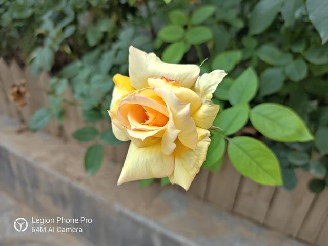 聯想拯救者電競手機Pro深度評測 硬核性能強者來襲