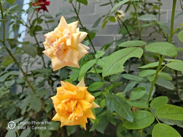 聯想拯救者電競手機Pro深度評測 硬核性能強者來襲